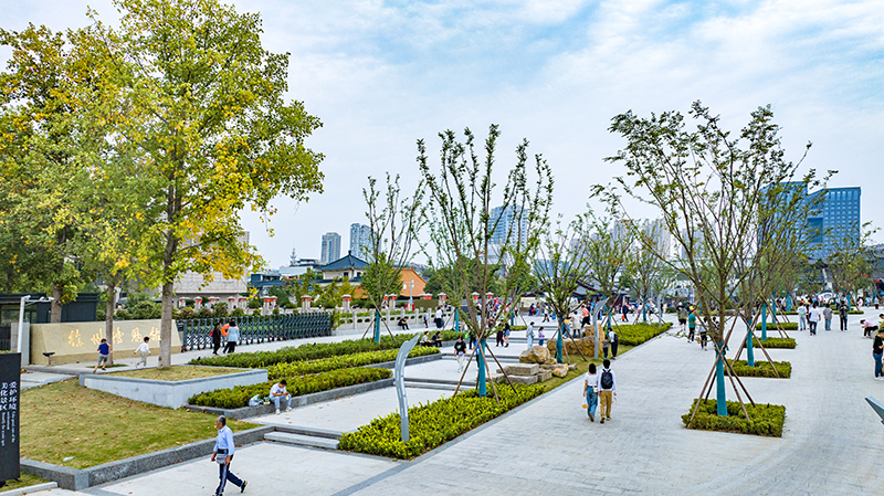 连接人文脉络  重拾历史记忆 | 记2022年市级道路续建工程-和平路隧道上盖广场景观工程